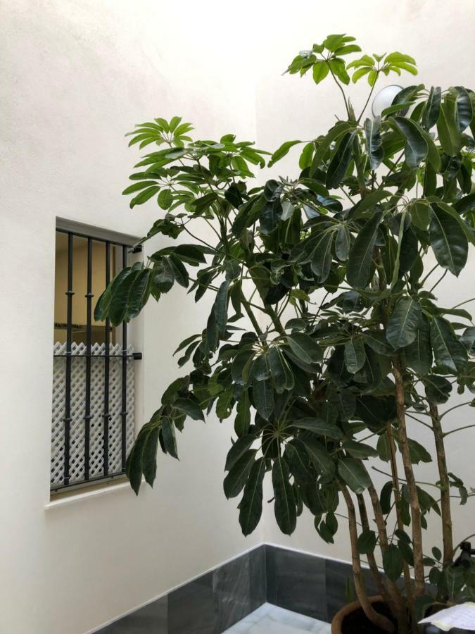 Apartamento Jano Puertatierra
